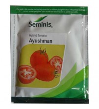 Tomato Ayushman 